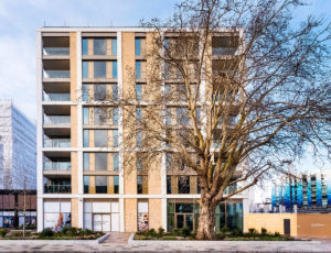 Exterior Views of Prince of Wales Drive, Battersea